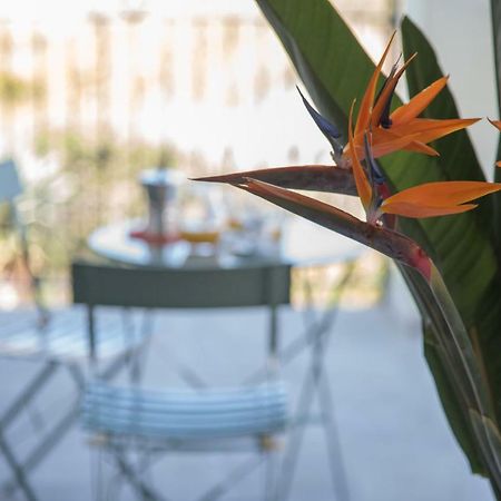 La Strelitzia Cervo Mare Διαμέρισμα Εξωτερικό φωτογραφία