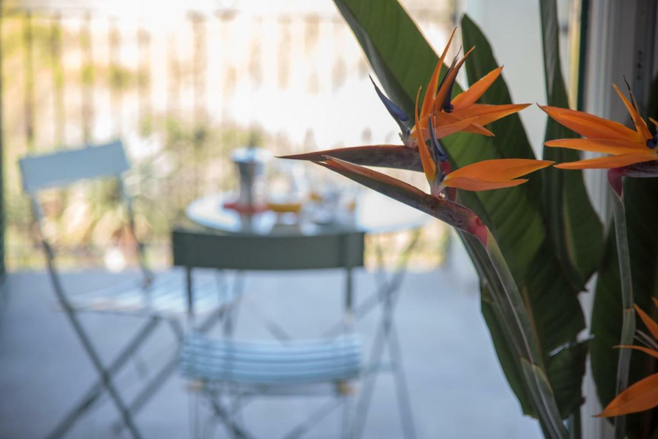 La Strelitzia Cervo Mare Διαμέρισμα Εξωτερικό φωτογραφία