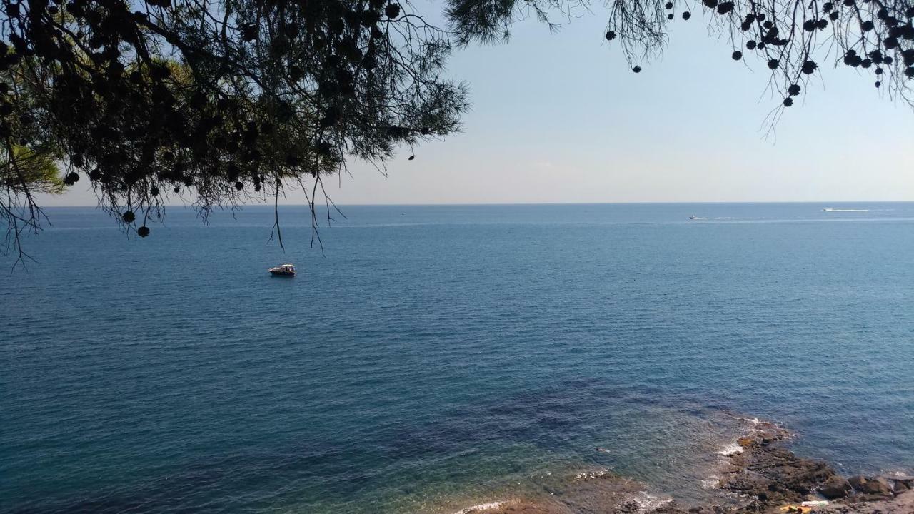 La Strelitzia Cervo Mare Διαμέρισμα Εξωτερικό φωτογραφία
